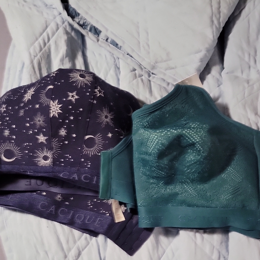 Cacique Celestial Navy and Teal Bra Set